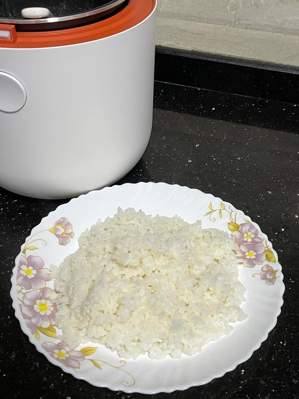 An Introduction to Low Sugar Rice Cooker Home Appliance ideas